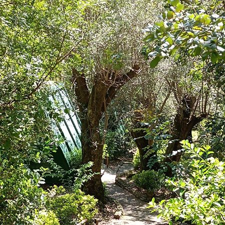 La Francesca Sud Un Villaggio"Glamping" Scario Kültér fotó