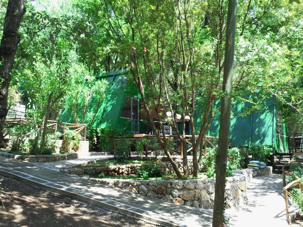 La Francesca Sud Un Villaggio"Glamping" Scario Kültér fotó
